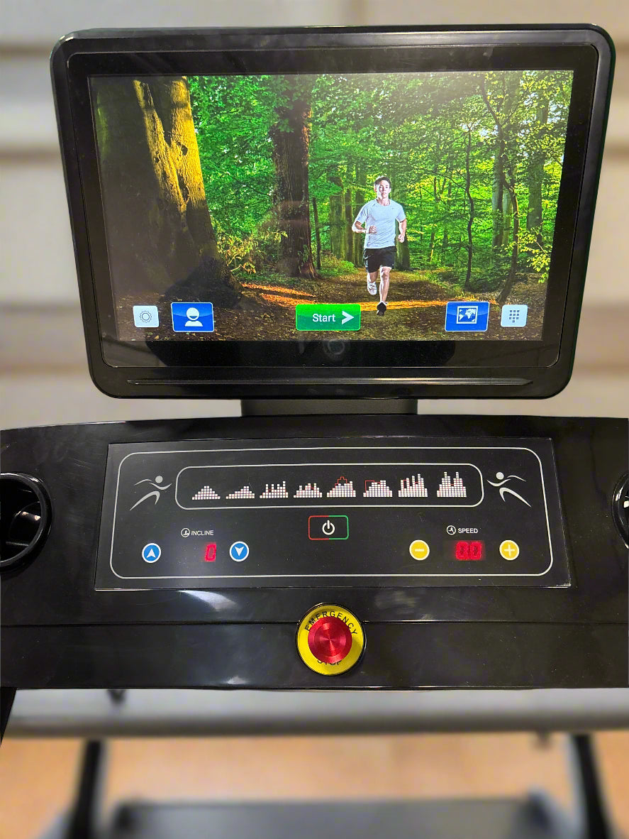 SFE X19 Commercial Touchscreen Treadmill