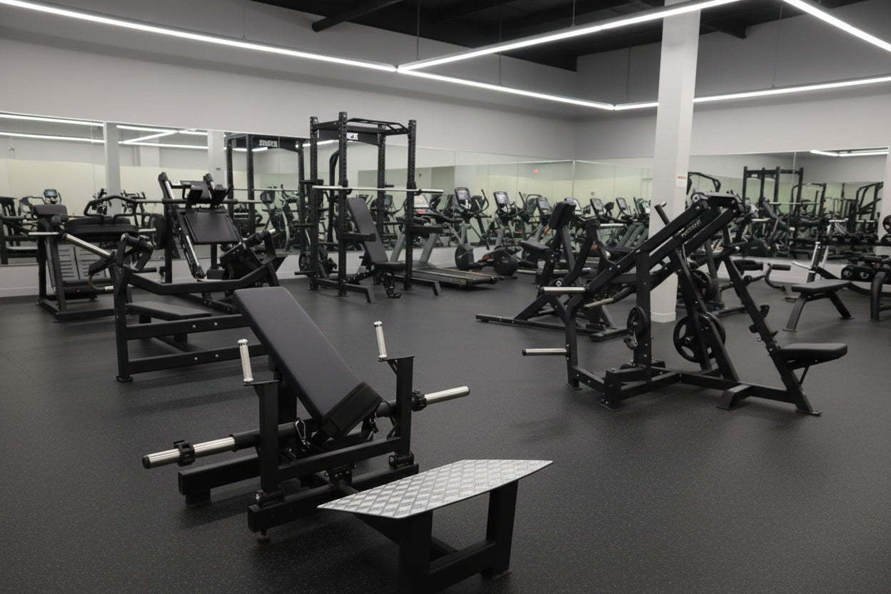 SFE Plate-Loaded Hip Thrust & Glute Drive Machine