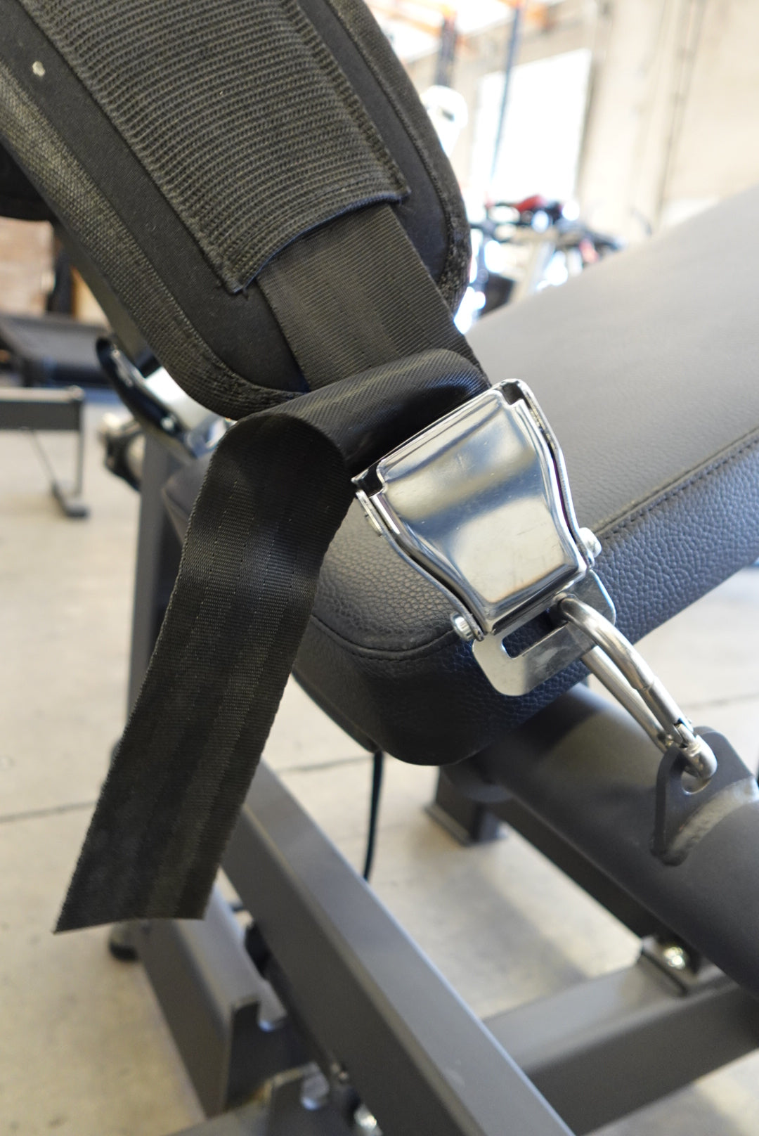 SFE Plate-Loaded Hip Thrust & Glute Drive Machine