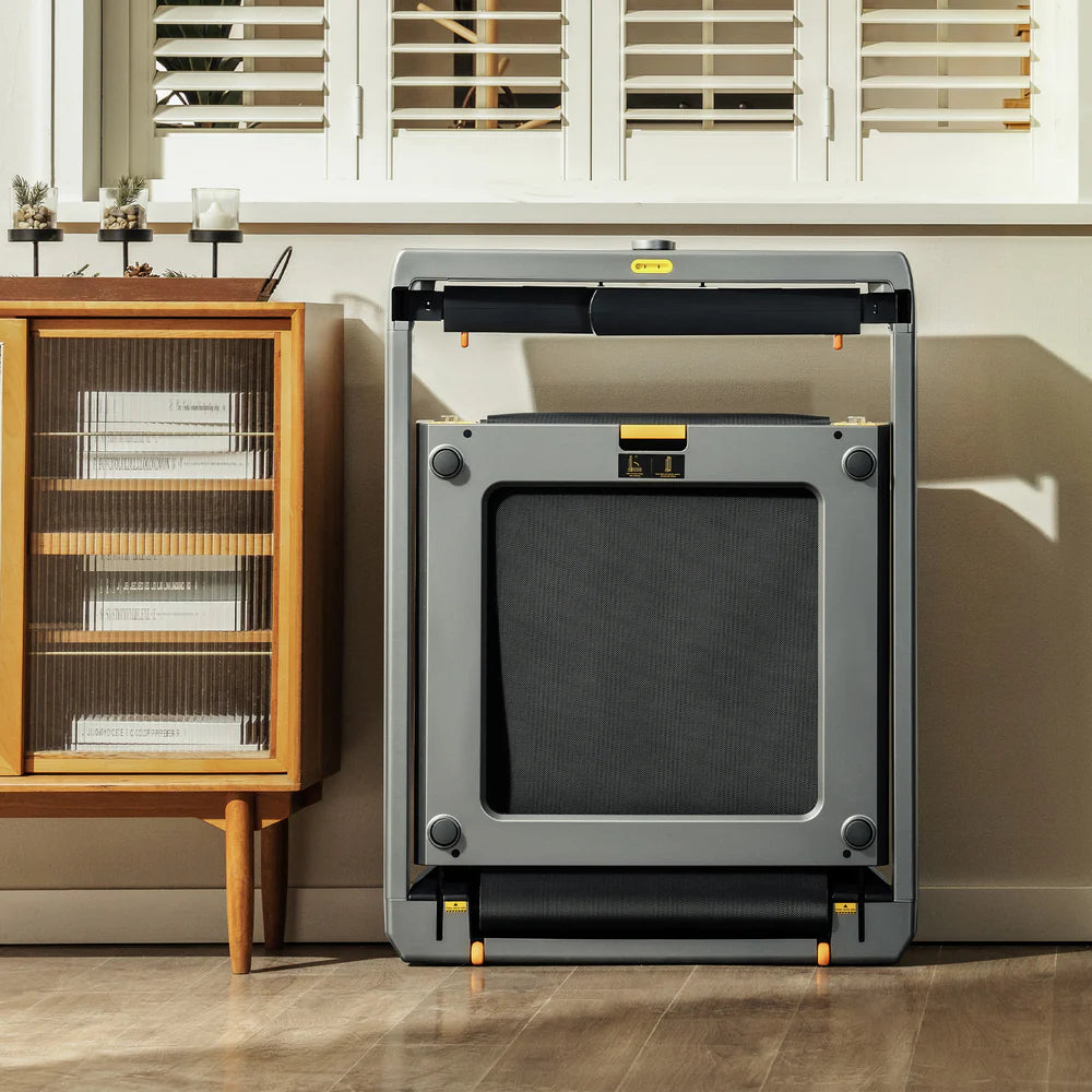 WalkingPad X25+ Folding Treadmill | 10MPH