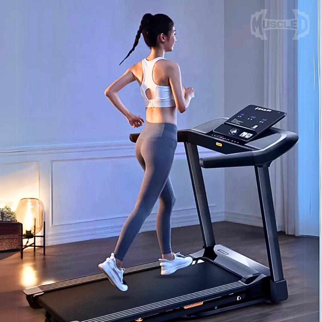 Light Commercial Folding Treadmill by Muscle D Fitness | LED Display & Pulse Monitor