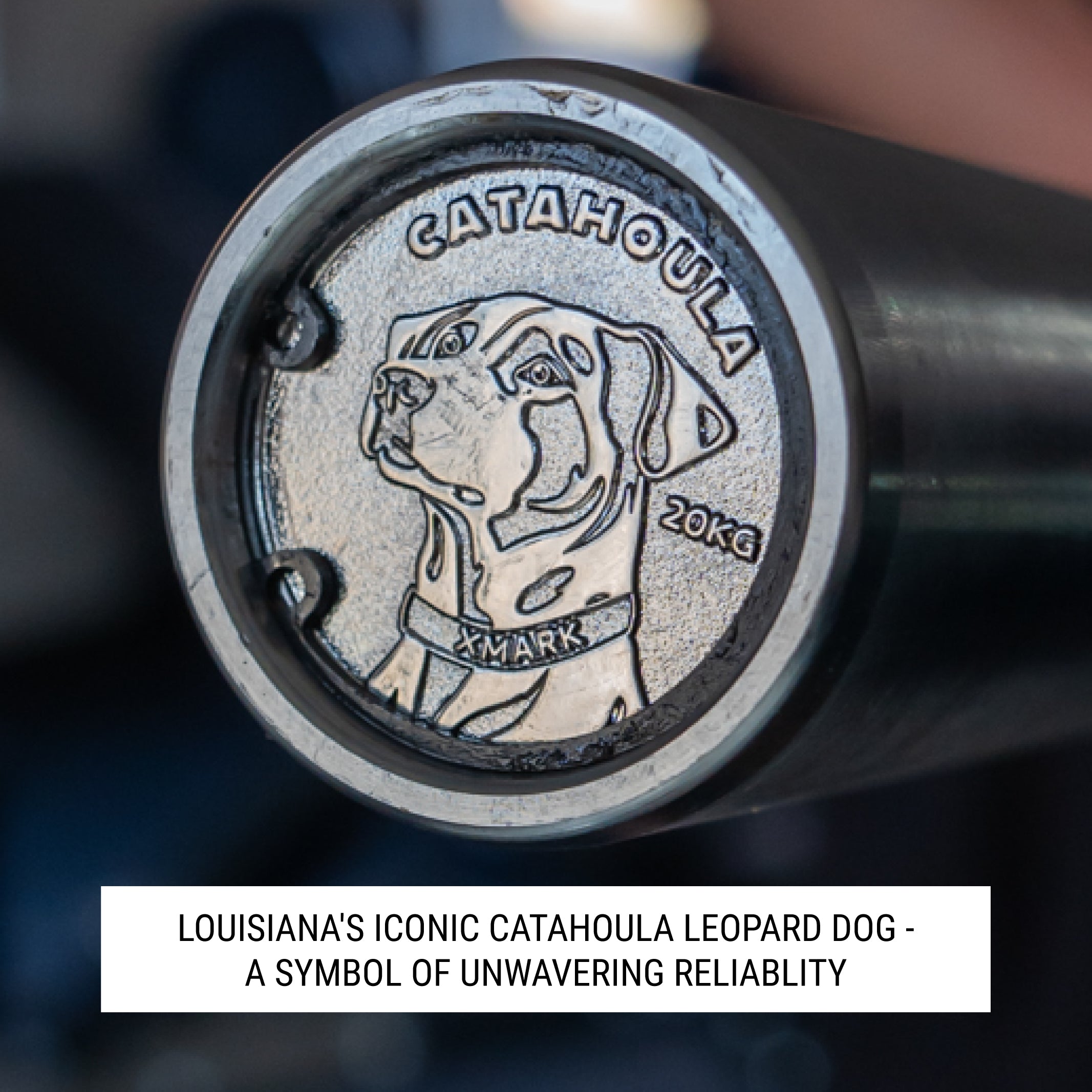 Men’s Olympic Barbell – IWF Training Bar 190,000 PSI 28mm Cerakote | XMARK Catahoula